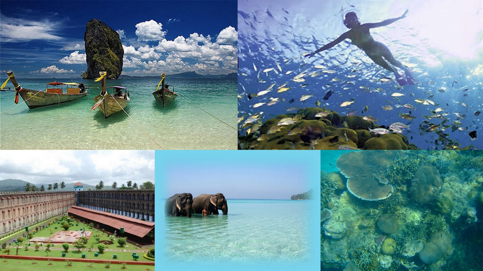 Andaman Tour Packages