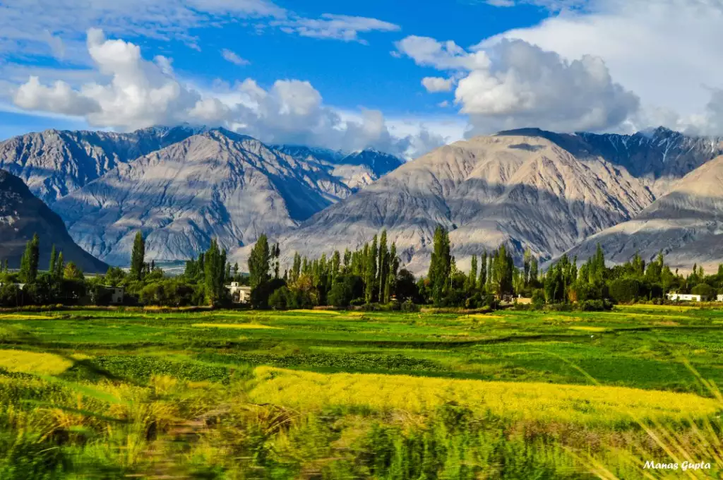 Magnificent Leh Sightseeing Tour Packages